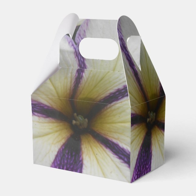 Ballotins Joli (Verso)