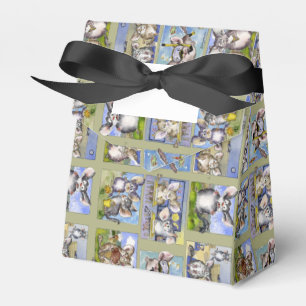 Ballotins Joyeux Anniversaire Drôle Cartoon Chinchillas Boît