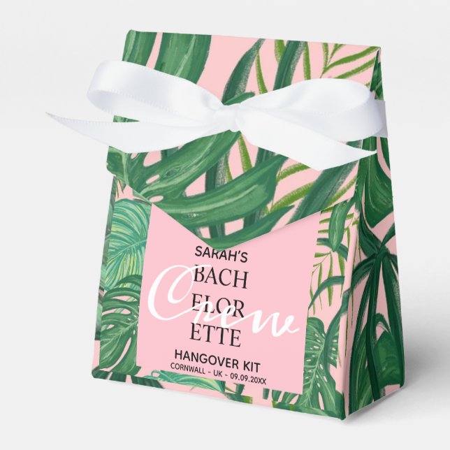 Ballotins Kit de passe-passe Paume Tropical Rose Pink (Verso)