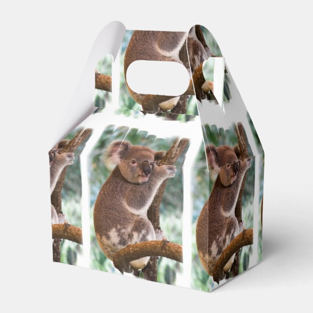 Ballotins Koala Bear (Verso)