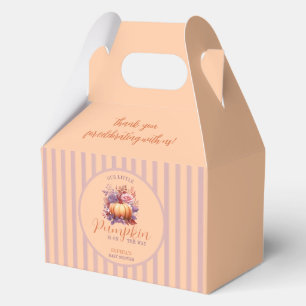 Ballotins Le Pastel Little Citrouille Se Trouve Sur Le Chemi