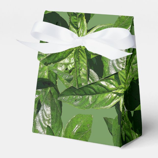 Ballotins Les feuilles De Basil Favorisent Les Boîtes De Ten (Verso)