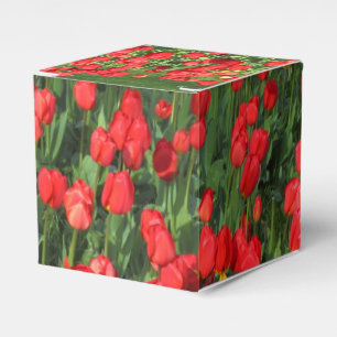 Ballotins Lit des Tulipes rouges 02