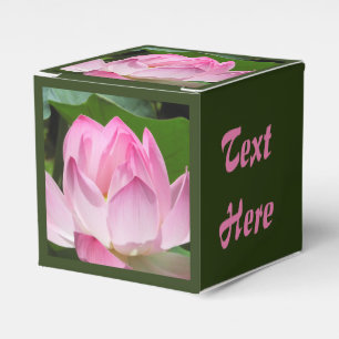 Ballotins Lotus Bloom rose