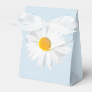 Ballotins marguerite blanche