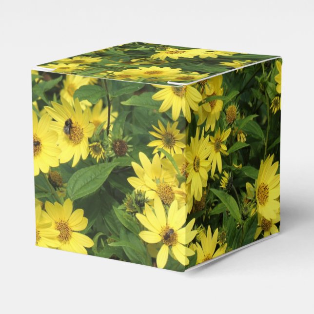 Ballotins Marguerites jaunes (Verso)