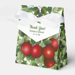 Ballotins Mariage Red Apples   Merci