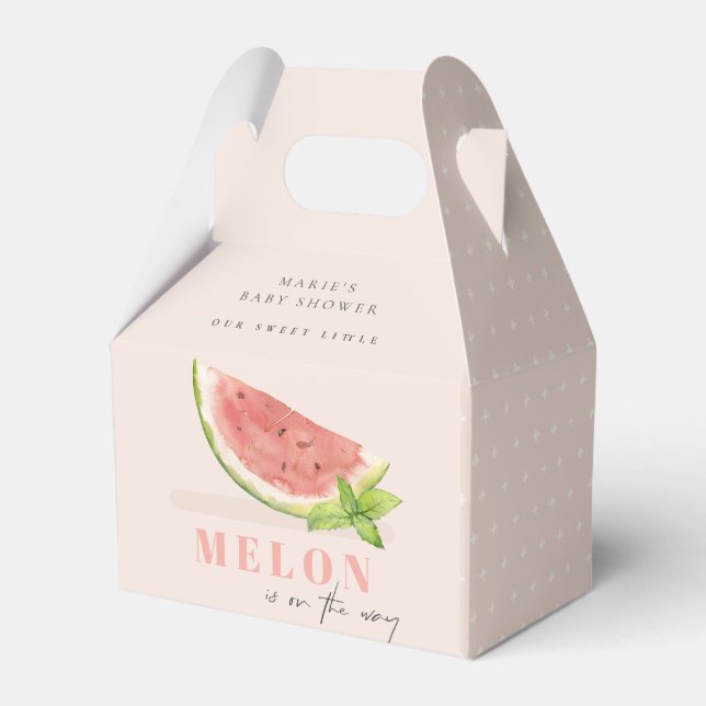 Ballotins Mélange Notre Petit Melon Baby shower Aquarelle Bl (Verso)