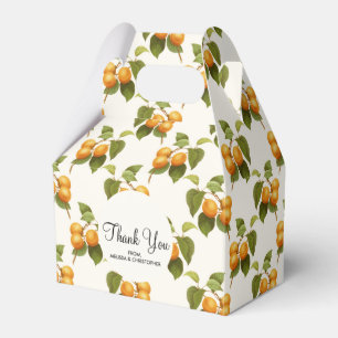 Ballotins Motif d'aquarelle vintage Orange Apricots