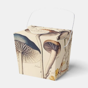 Ballotins Naturaliste de champignons vintages
