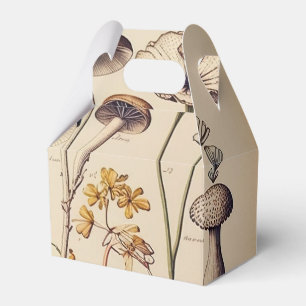 Ballotins Naturaliste de champignons vintages