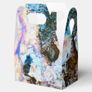 Ballotins nature abstraite eau morte