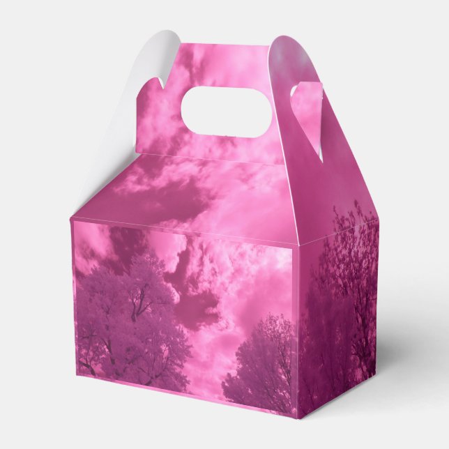 Ballotins Nuage infrarouge Pinkish Hues (Verso)