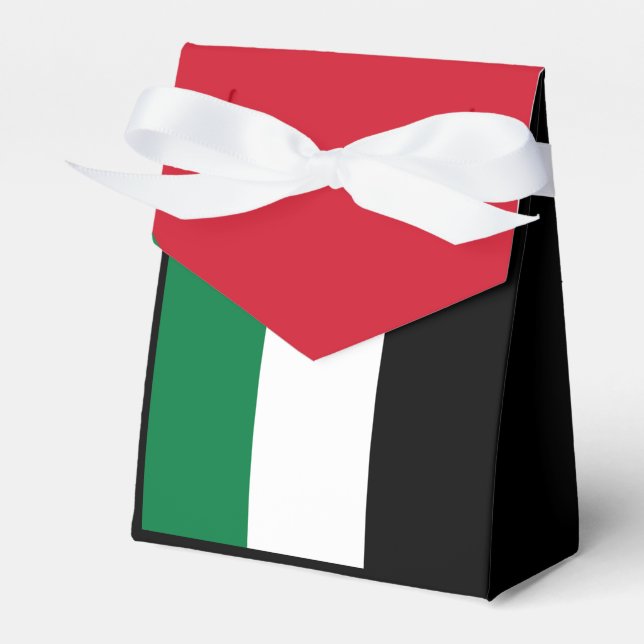 Ballotins officiellement l'État de Palestine drapeau du pays (Verso)