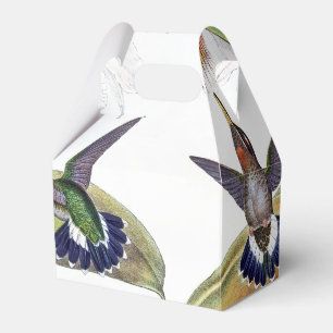 Ballotins Orchidée Flower Hummingbird Bird Ballotin de la fa