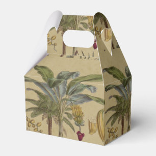Ballotins Palm Antique Fruit Tropical Art Botanique