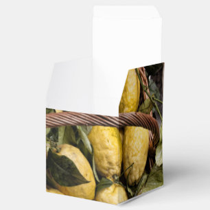 Ballotins Panier de citron d'Amalfi