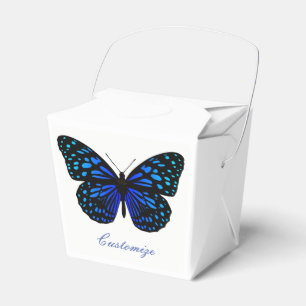 Ballotins Papillon bleu Thunder_Cove