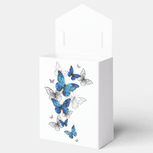Ballotins Papillons volants bleus Morpho