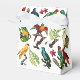 Ballotins Perroquets tropicaux colorés, Feuilles et fleurs