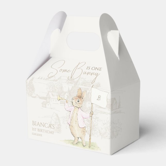 Ballotins Peter le lapin un lapin rose Anniversaire (Verso)