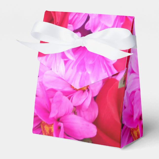 Ballotins Philippines (Verso)