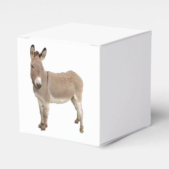 Ballotins Photo de Burro à Donkey Cute (Verso)