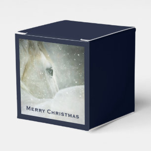 Ballotins Photo d'un magnifique cheval blanc en hiver