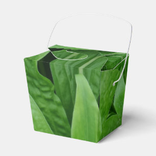Ballotins Plante vert Sortir Ballotin
