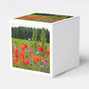 Ballotins Poppies Et Fleurs De Cornouailles Paysage Réaliste