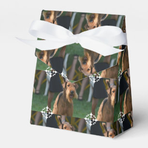 Ballotins Produit de personnaliser