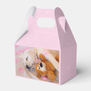 Ballotins Puppy cuddles 02