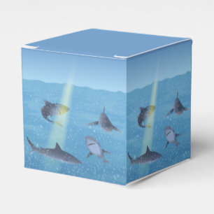 Ballotins Requins