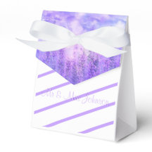 Sage pourpre et papillon