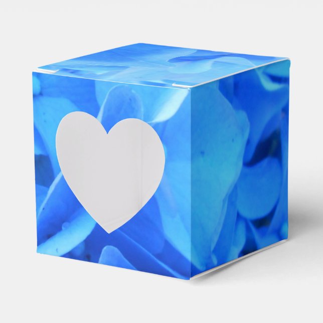 Ballotins Sérapine (Verso)