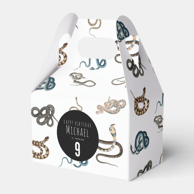 Ballotins Serpents colorés Reptile Animal fête d'anniversair (Verso)