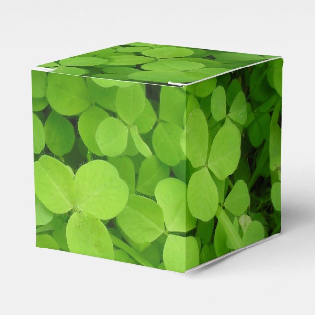 Ballotins Shamrocks chanceux ! boîte cadeau (Verso)