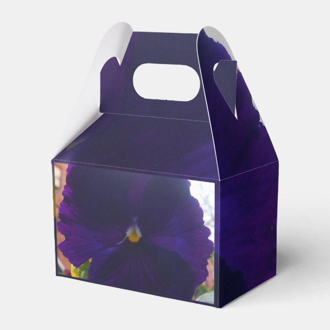 Ballotins Sibylla (Verso)