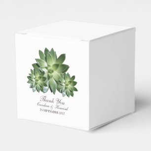 Ballotins Simple Succulent Mariage Faveur Boîtes