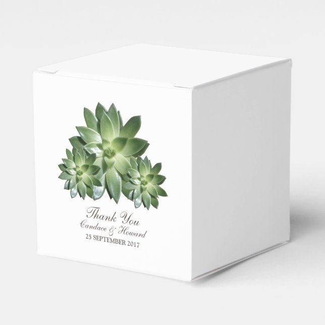 Ballotins Simple Succulent Mariage Faveur Boîtes (Verso)