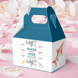 Ballotins Splash de requin Fête d'anniversaire 5 ans   Enfan