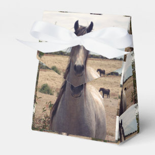 Ballotins Star The Arab Pony, Ballotin cadeau