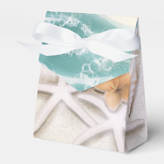 Ballotins Starfish sur la plage mer Turquoise Eau tropicale (Verso)