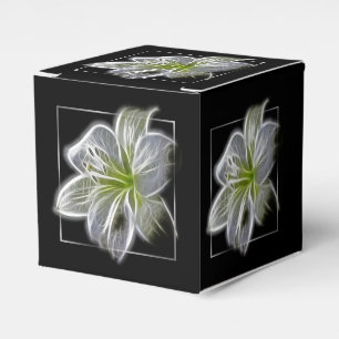 Ballotins Stunning White Lily
