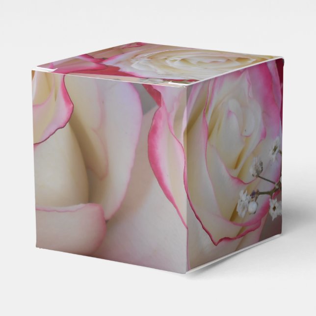 Ballotins Thamar (Verso)