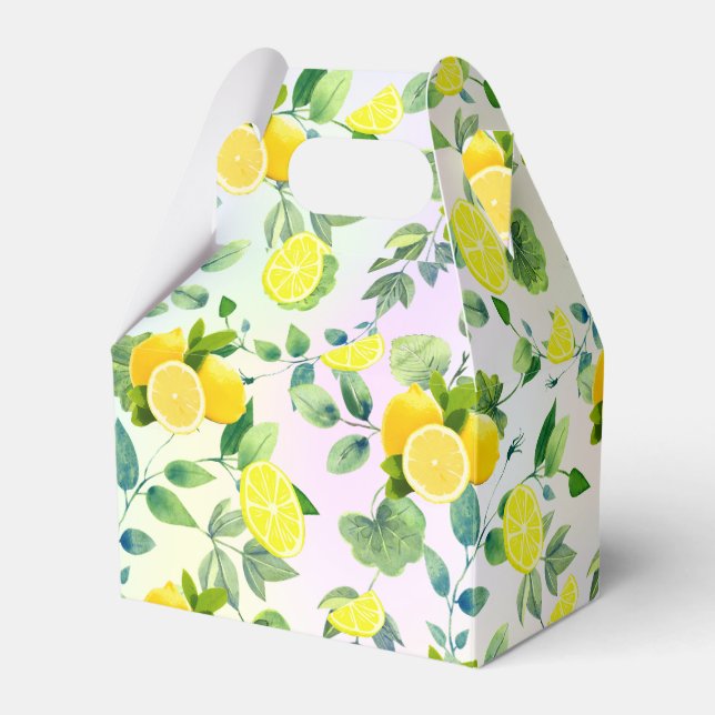 Ballotins Tropical Citrus été frais Orange lemon Slice (Verso)