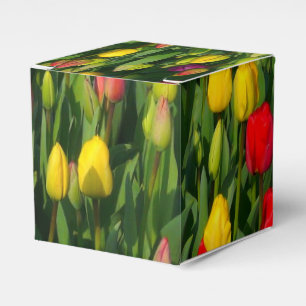 Ballotins Tulipes Colorées