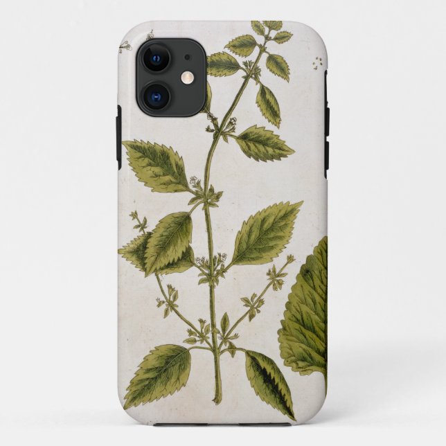 Balm, plate 27 from 'A Curious Herbal', published Case-Mate iPhone Case (Back)