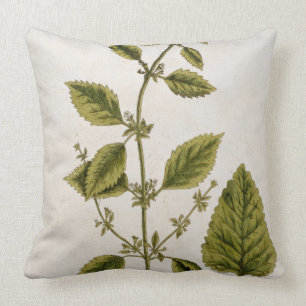 Balm, plate 27 from 'A Curious Herbal', published Throw Pillow
