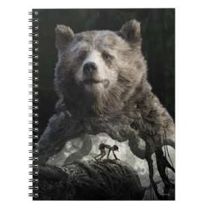 Baloo et Mowgli Le Livre de la jungle